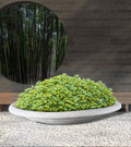 CONTEMPORARY_BOWL_LARGE_43509a31-db13-4393-8e7f-e252186d1b23 - Cast Stone International 