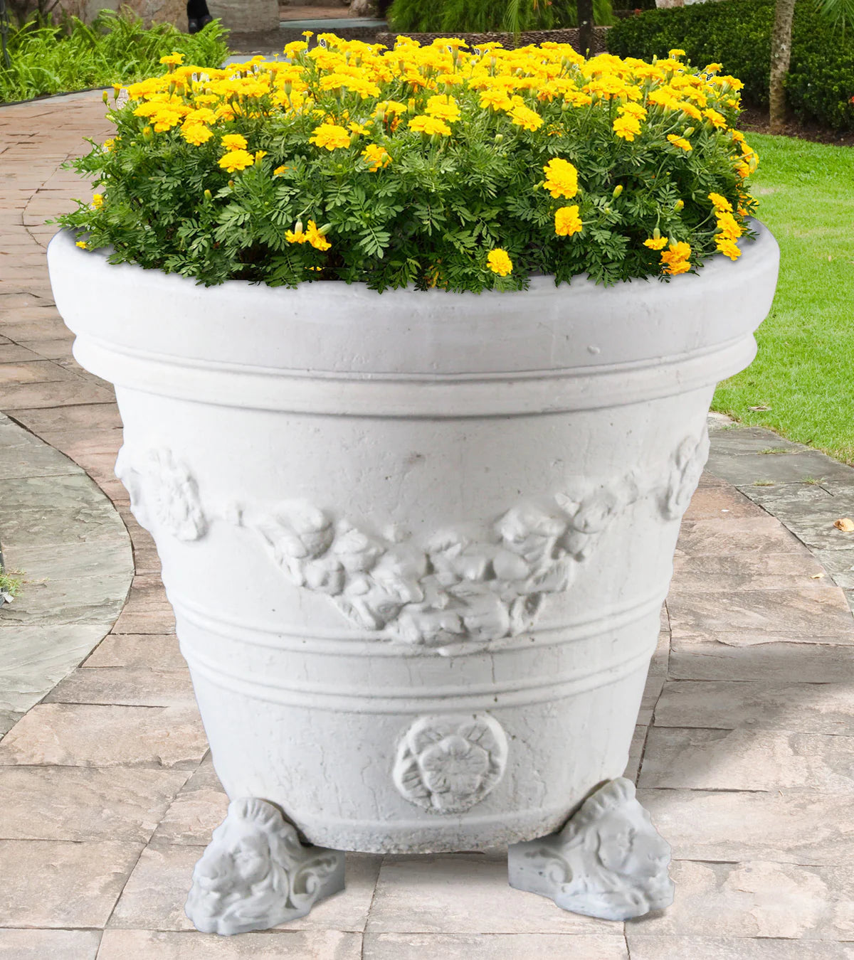Doppio Bordo Festonato Planter