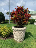 DominiqueBasketPlanter - Cast Stone International 