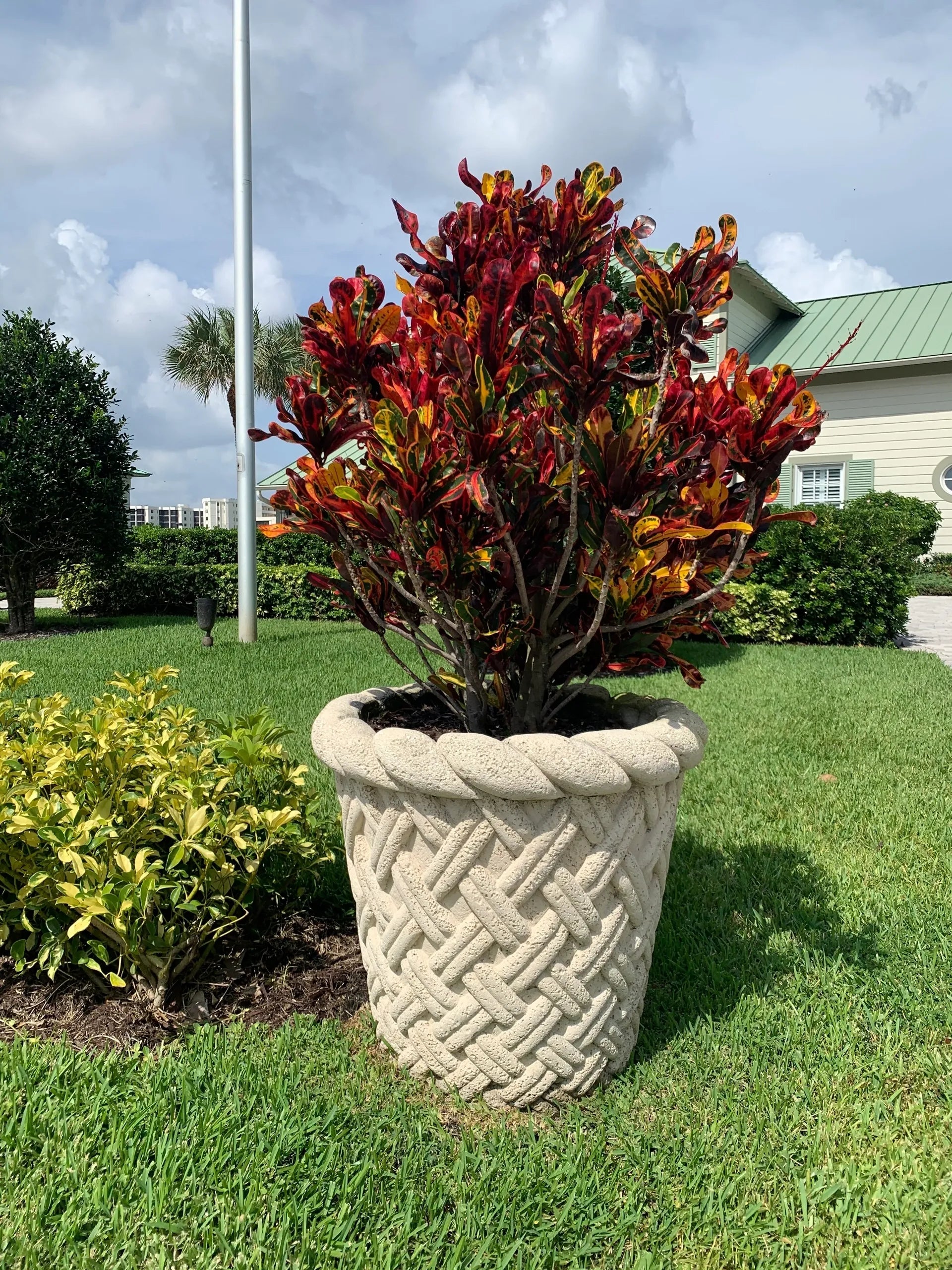 DominiqueBasketPlanter - Cast Stone International 