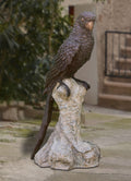 GAZING_PAROT_ON_TREE_BRANCH_BRONZE_STATUE - Cast Stone International 