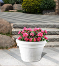 LIBERTY_SMALL_2436b629-190e-4fc1-ad85-ffa369ebecc4 - Cast Stone International 