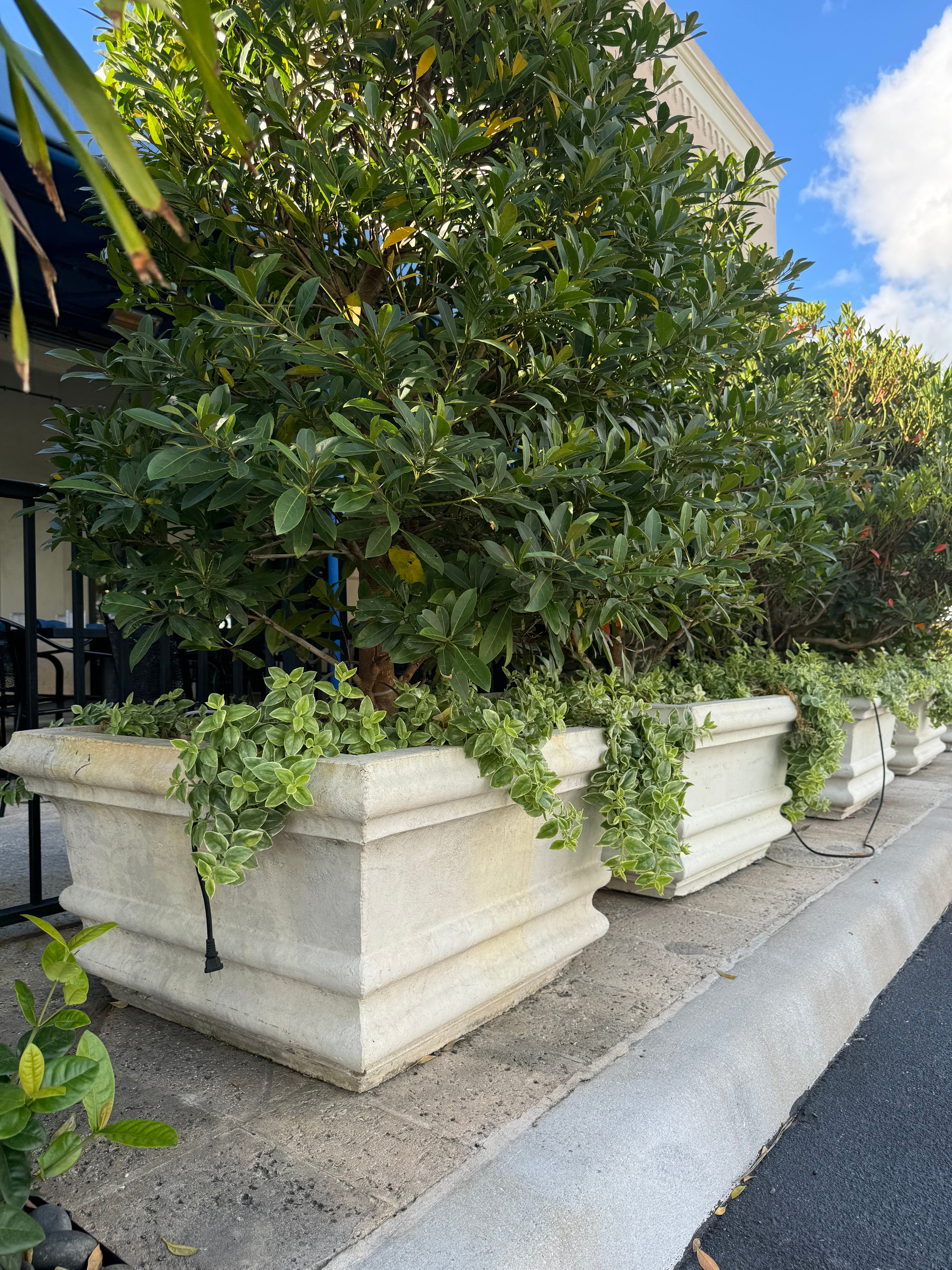 Palm_Beach_Square_Planter_5 - Cast Stone International 