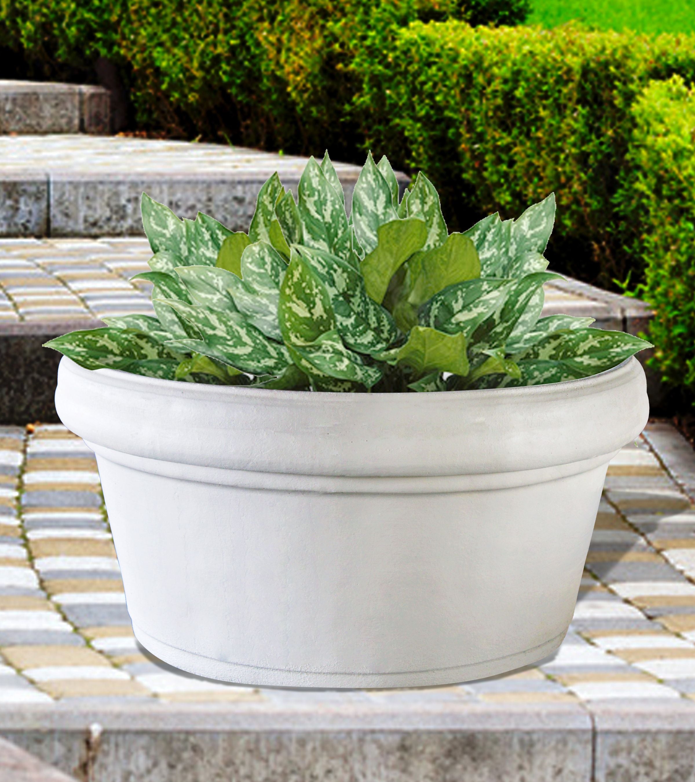 SHALLOW_PERFECTO_PLANTER_c4110e82-47ea-4d42-9969-34b01d8f0fa2 - Cast Stone International 