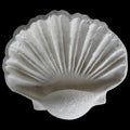 SmallShellWallPlaque - Cast Stone International 